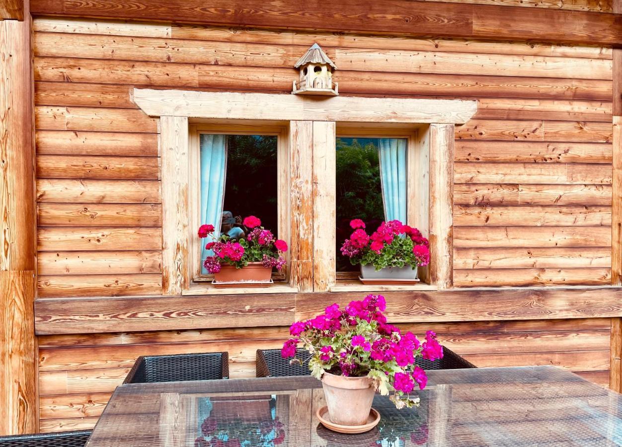 Chalet & Spa Alpaga Manigod Kültér fotó