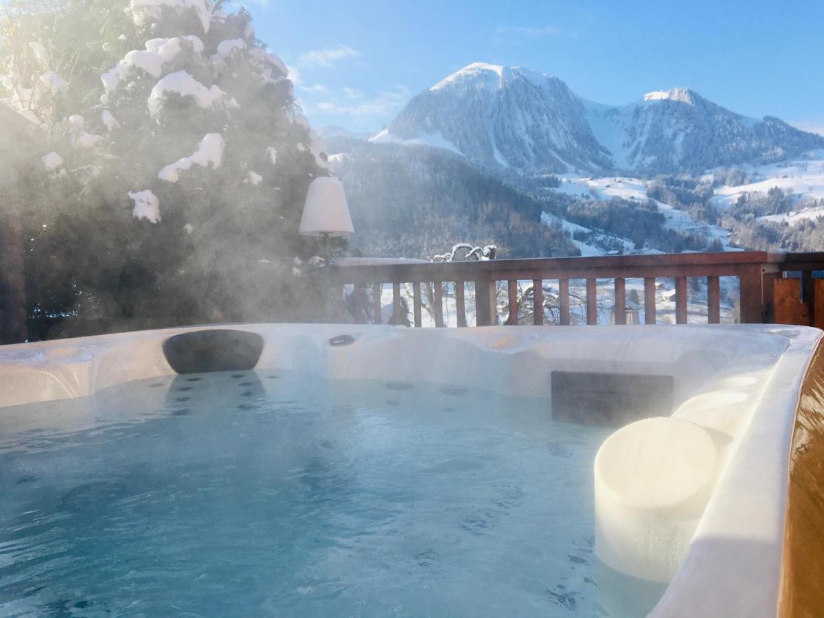 Chalet & Spa Alpaga Manigod Kültér fotó