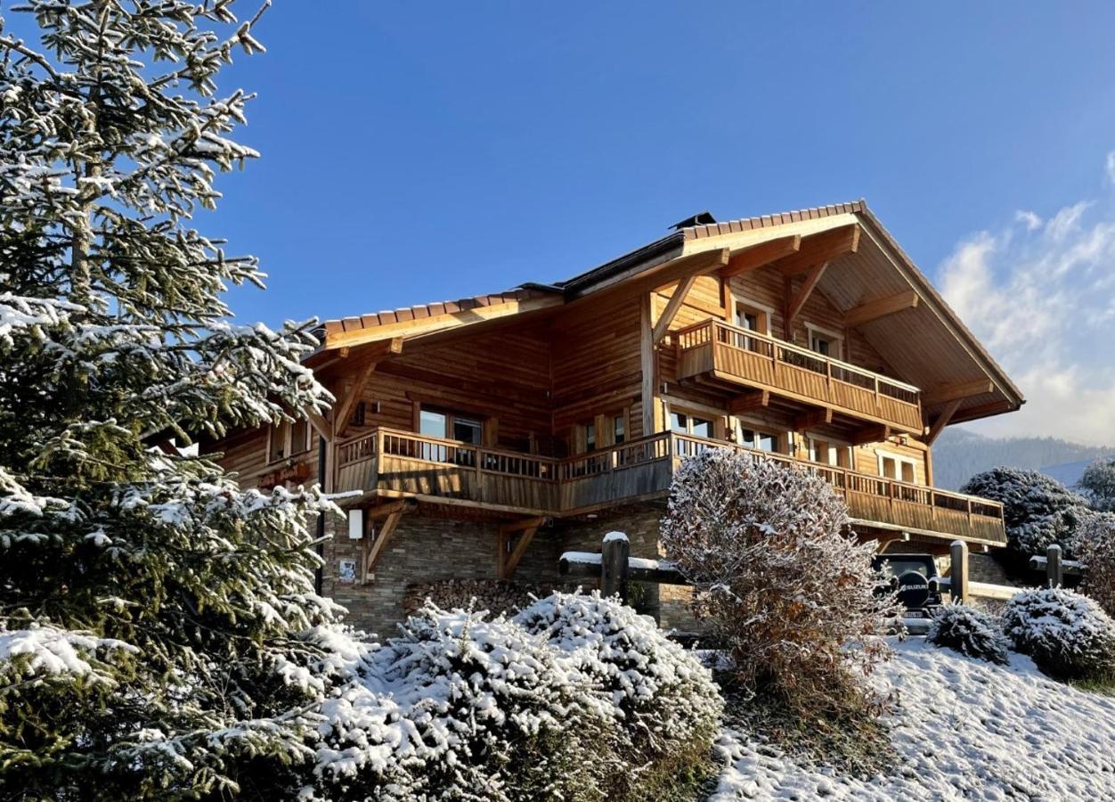Chalet & Spa Alpaga Manigod Kültér fotó